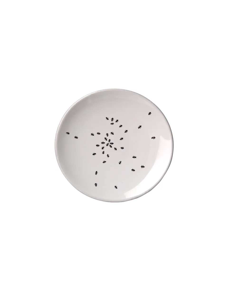 TA-DAAN Ant plate