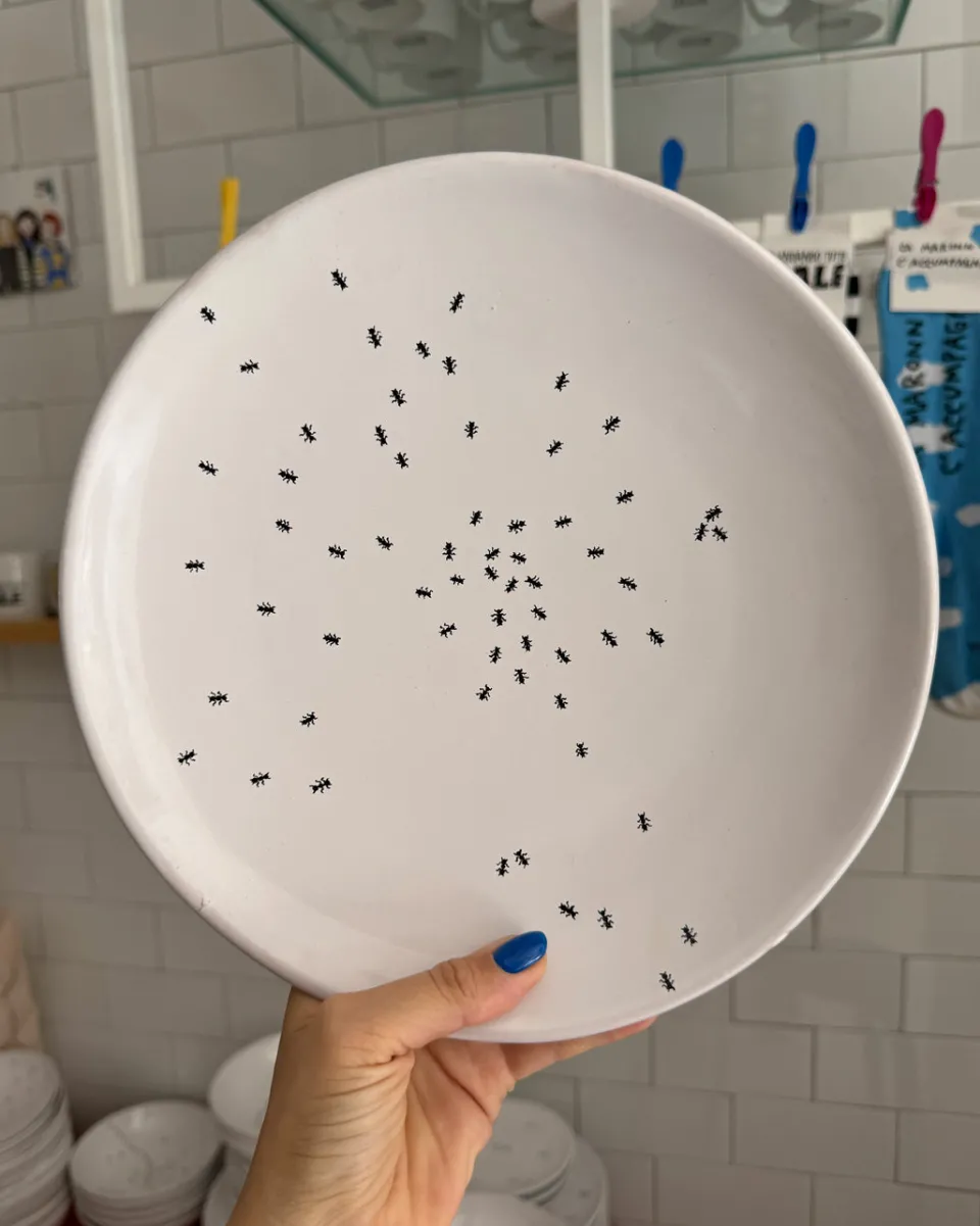 TA-DAAN Ant plate