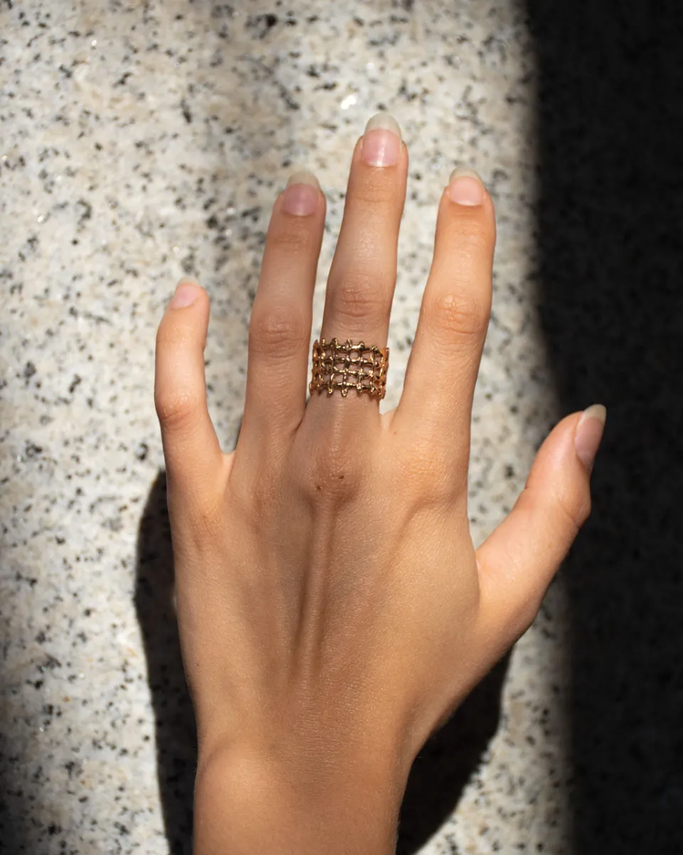 TA-DAAN Ascophyllo Ring