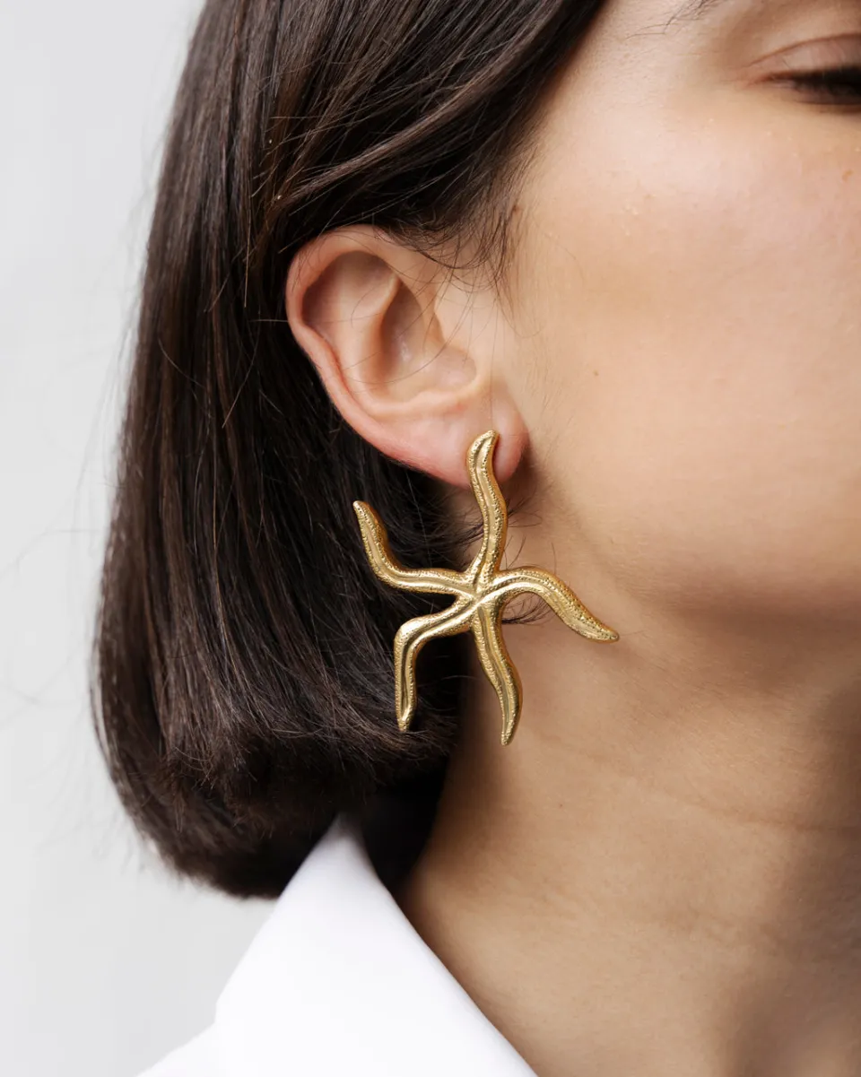 TA-DAAN Asteroidea Starfish earrings