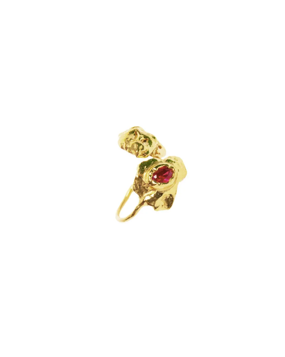 TA-DAAN Boreal Ring