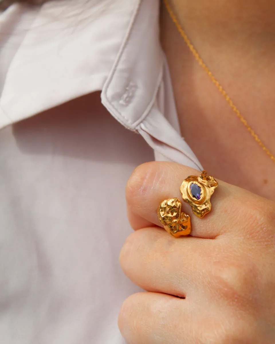 TA-DAAN Boreal Ring