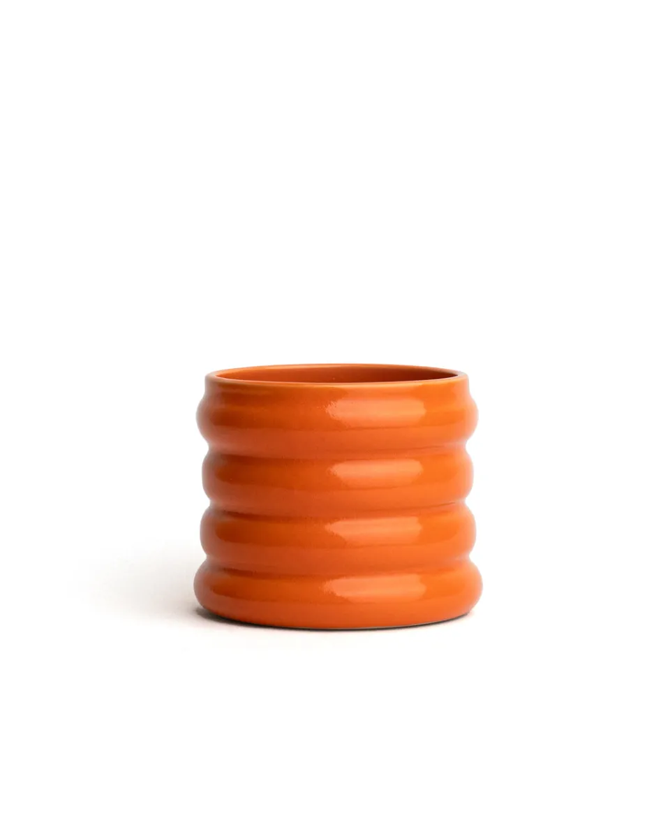 TA-DAAN Bumpy Cup