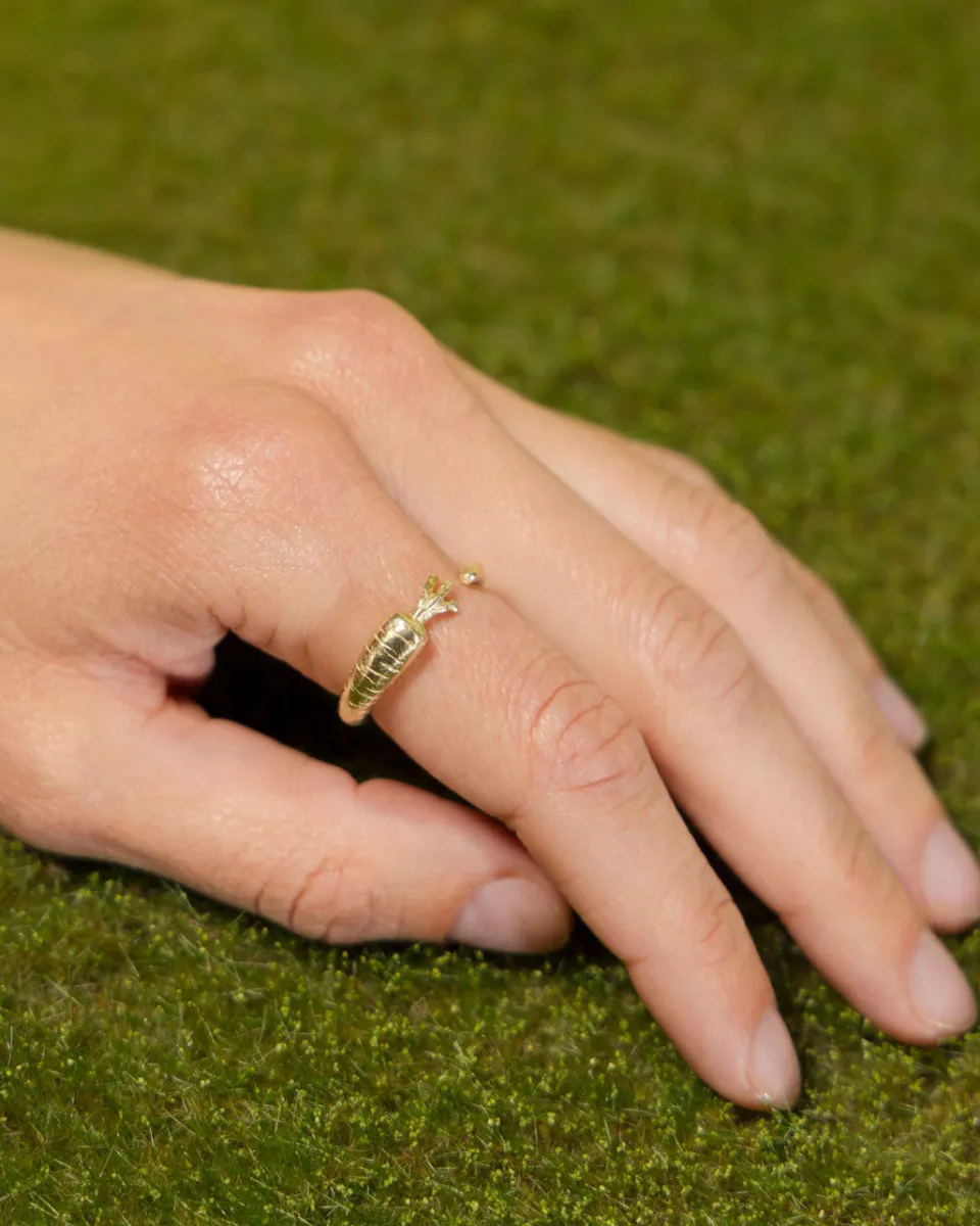 TA-DAAN Carrot Ring