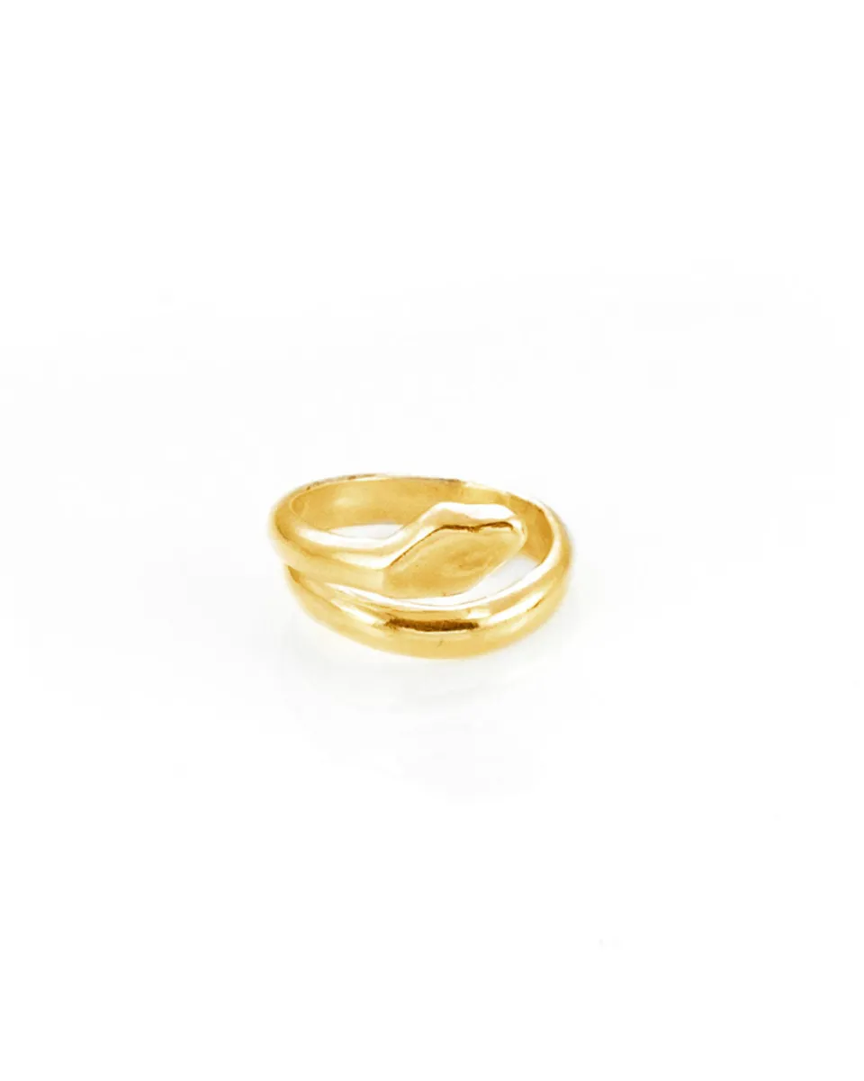 TA-DAAN Coil ring