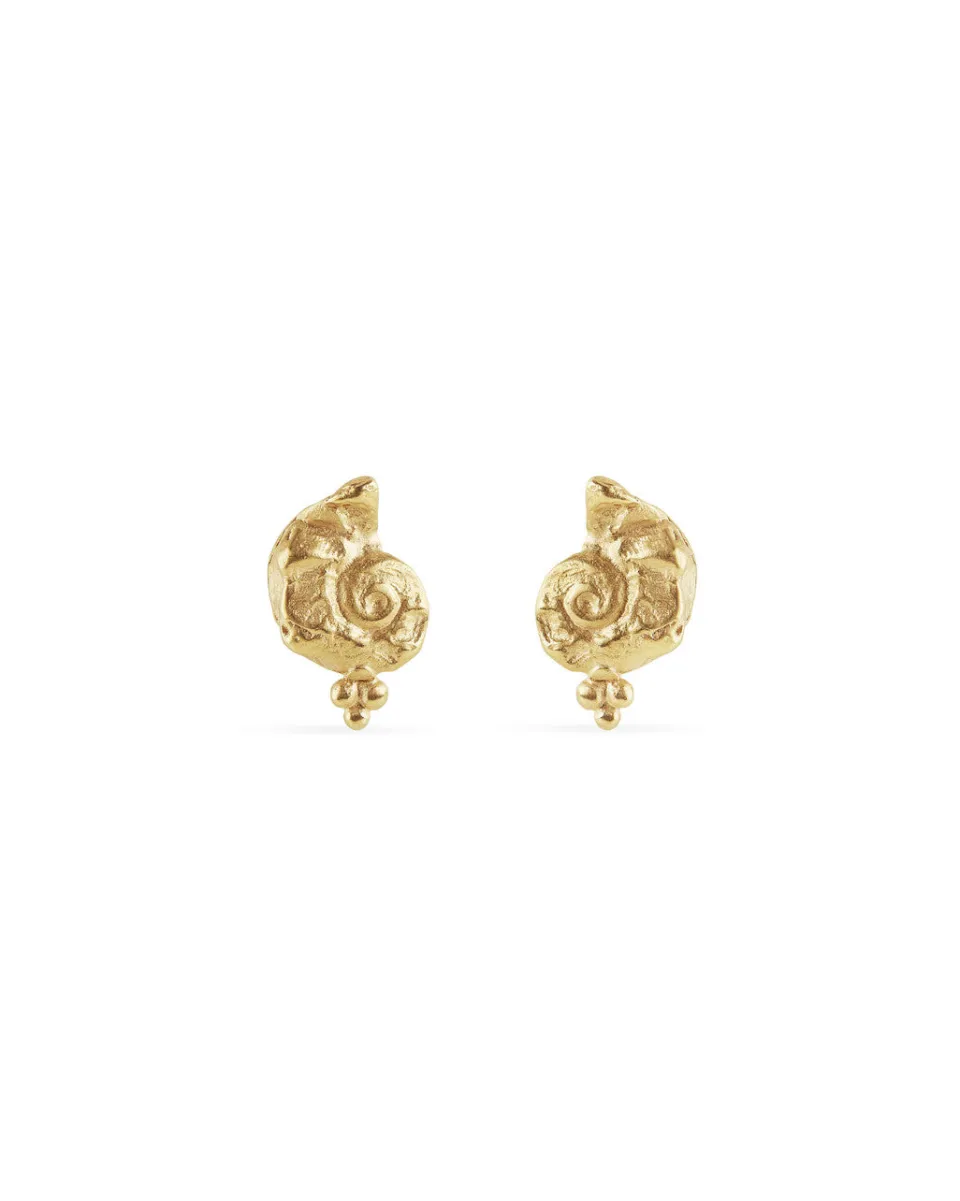 TA-DAAN Cowrie Shell earrings