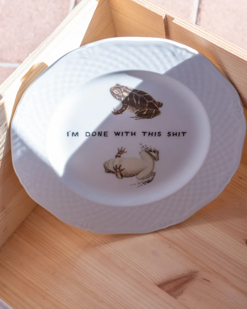 TA-DAAN Done with this shit Very Ugly Plate