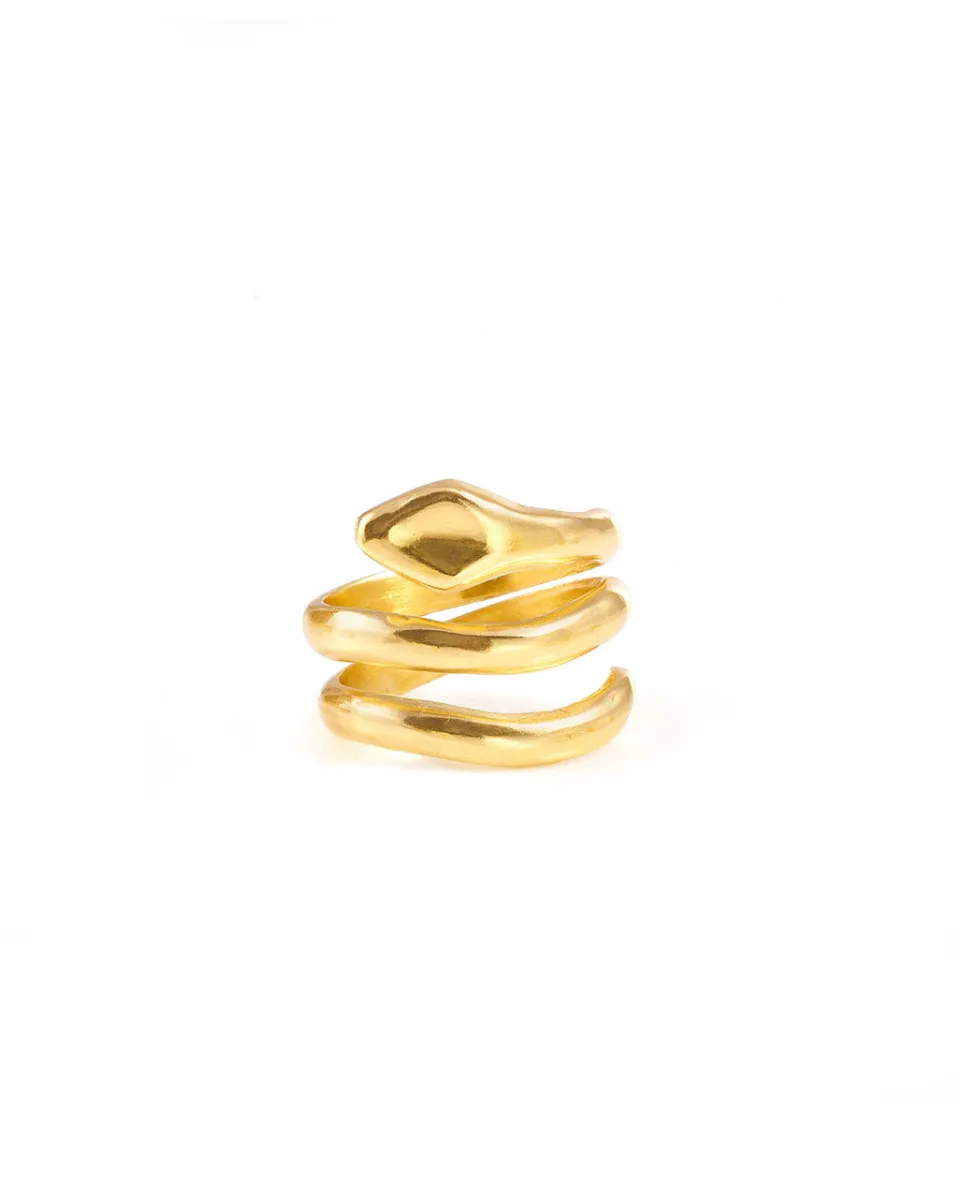 TA-DAAN Double Coil ring
