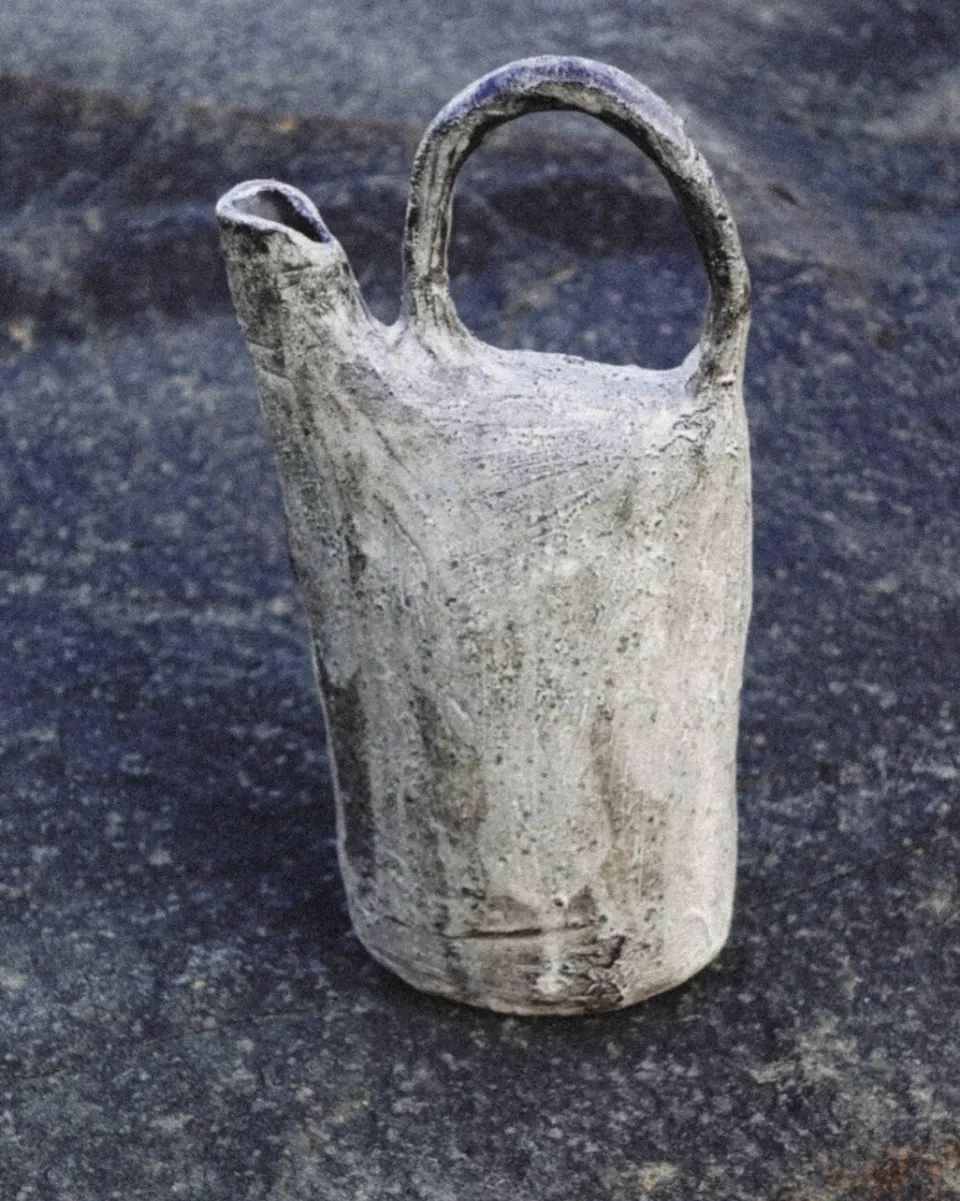 TA-DAAN Etna Pitcher