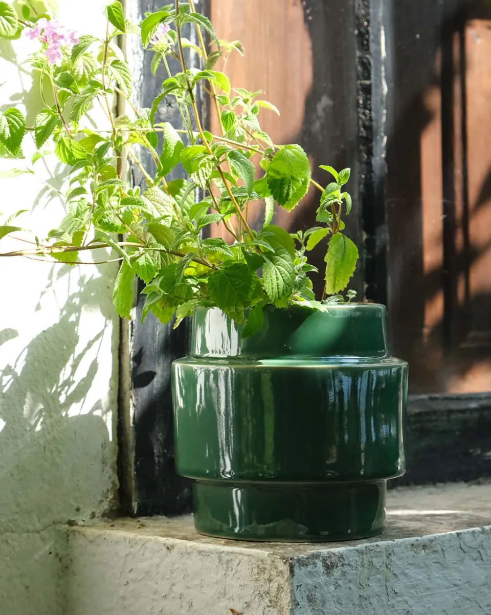 TA-DAAN Glazed Boia Clay Pot - Green