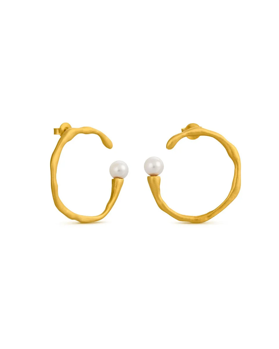 TA-DAAN Golden Eclat circle Earrings