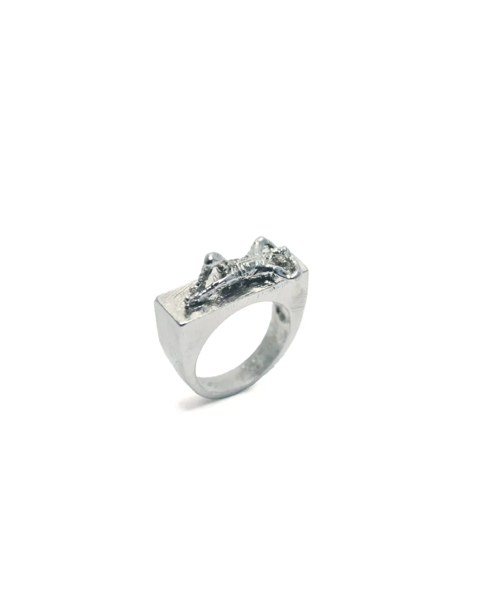 TA-DAAN I'd love to watch the clouds with you Ring