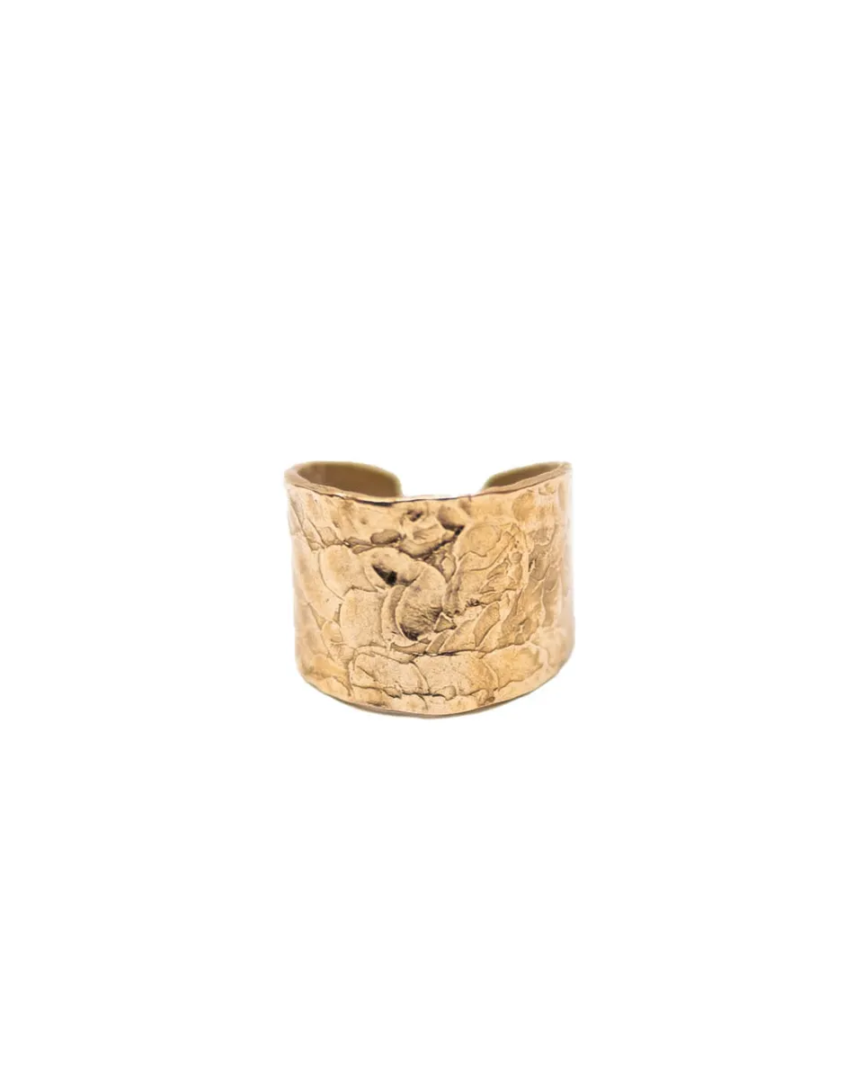 TA-DAAN Linear Ring