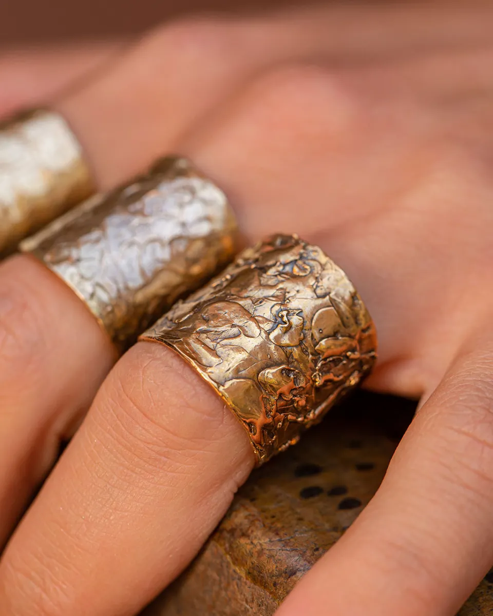 TA-DAAN Linear Ring