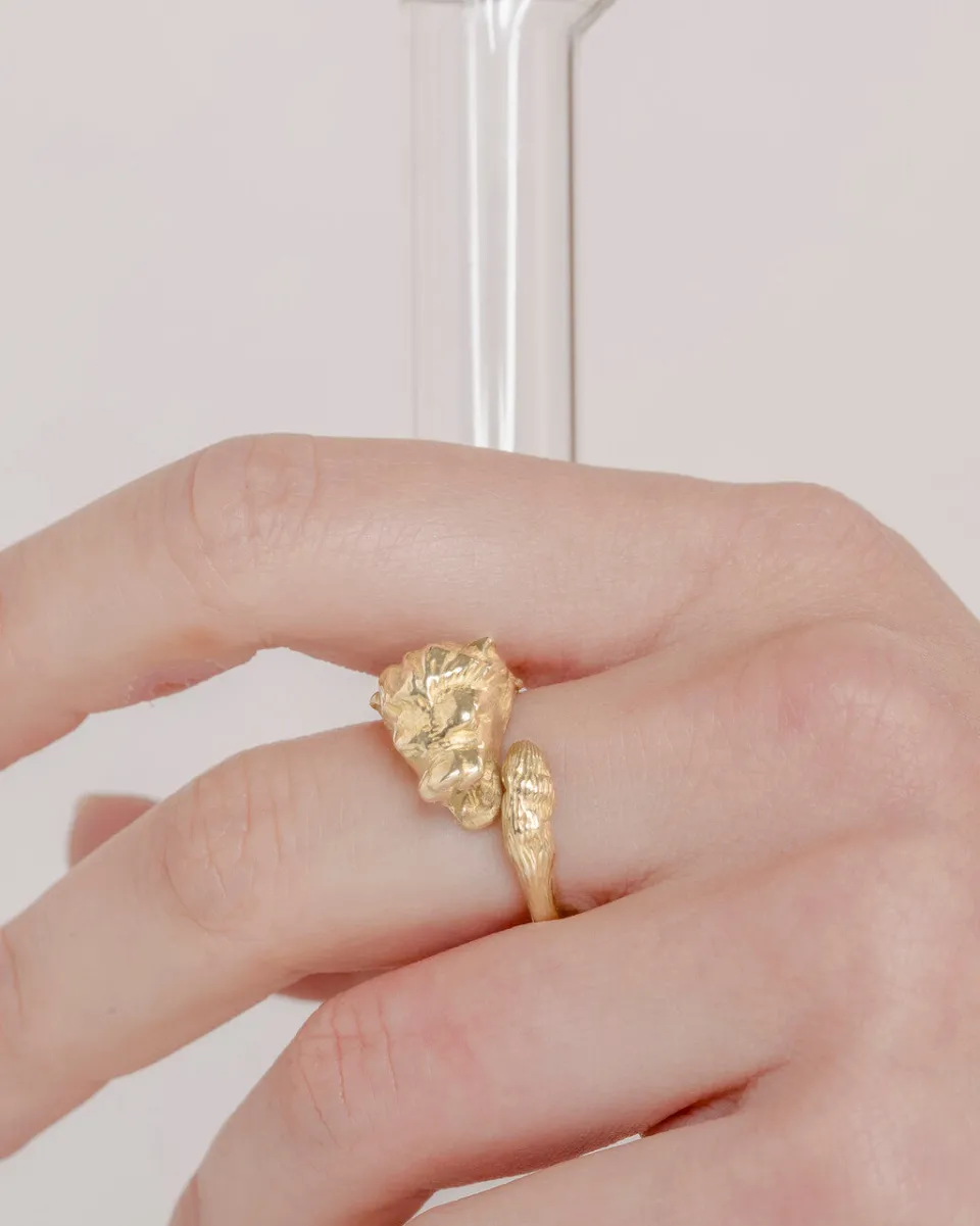 TA-DAAN Lion ring