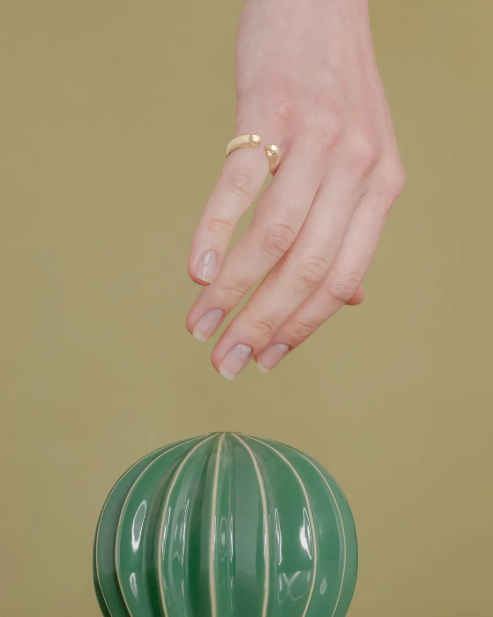 TA-DAAN Lovebirds Ring