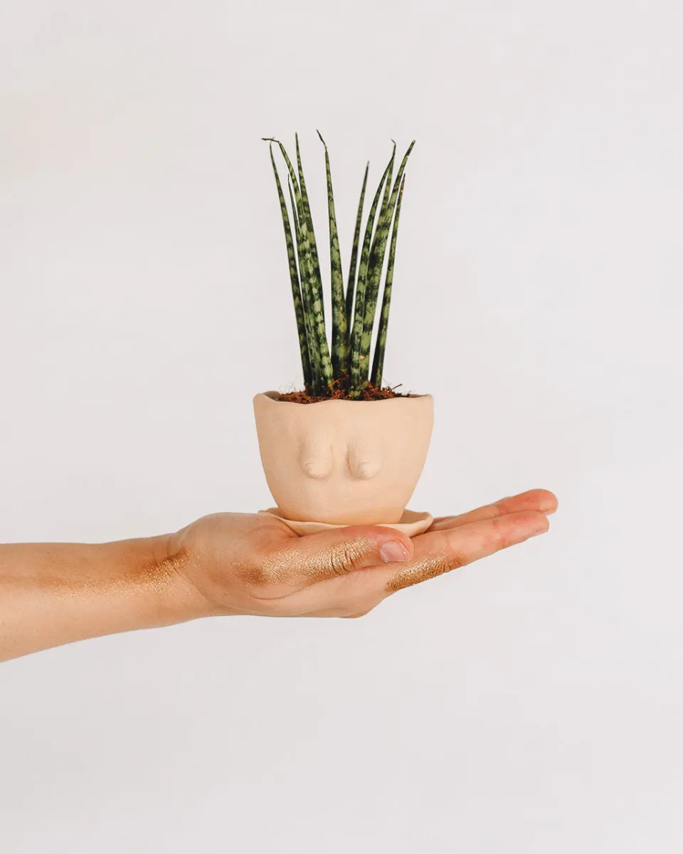TA-DAAN Mulher Objeto Vase with plate