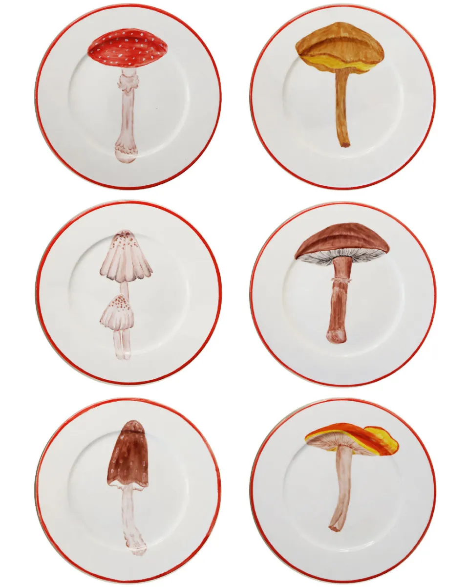 TA-DAAN Mushrooms Mix - Set of 6