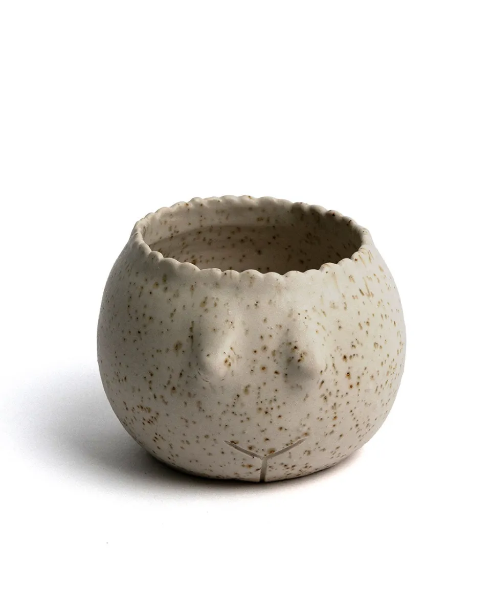 TA-DAAN O vaso que é mãe Pot