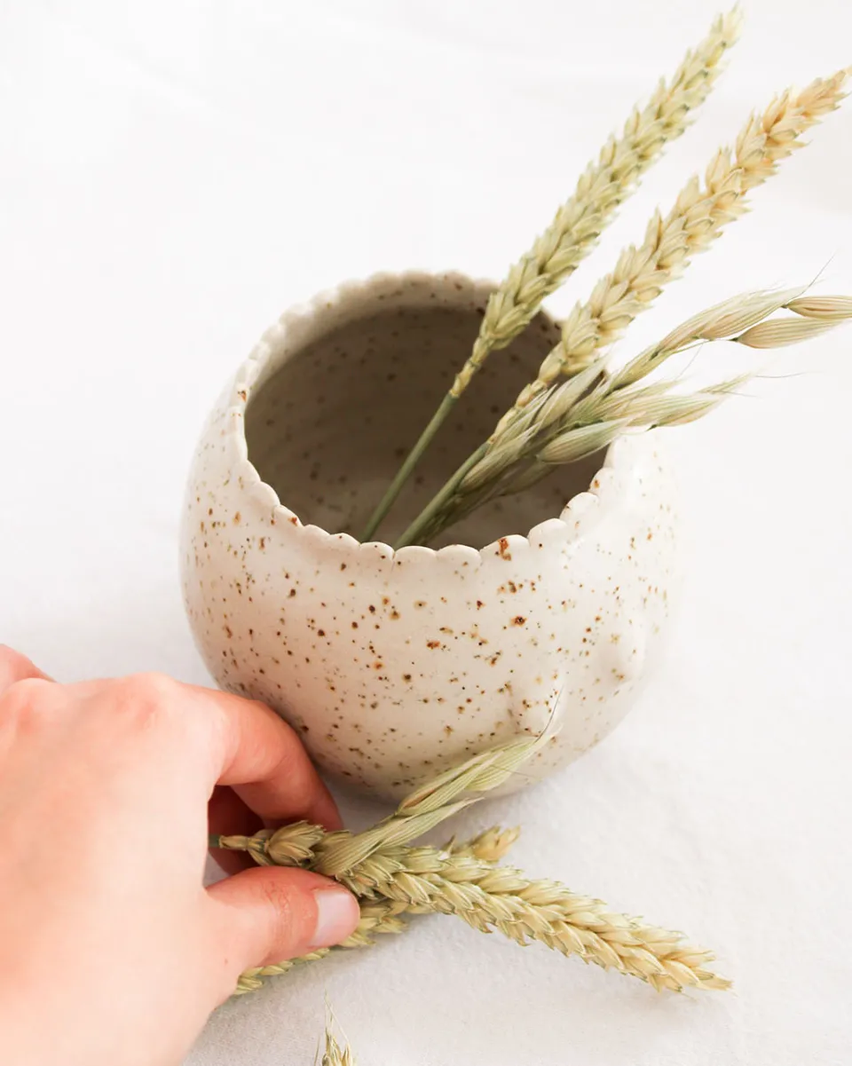 TA-DAAN O vaso que é mãe Pot