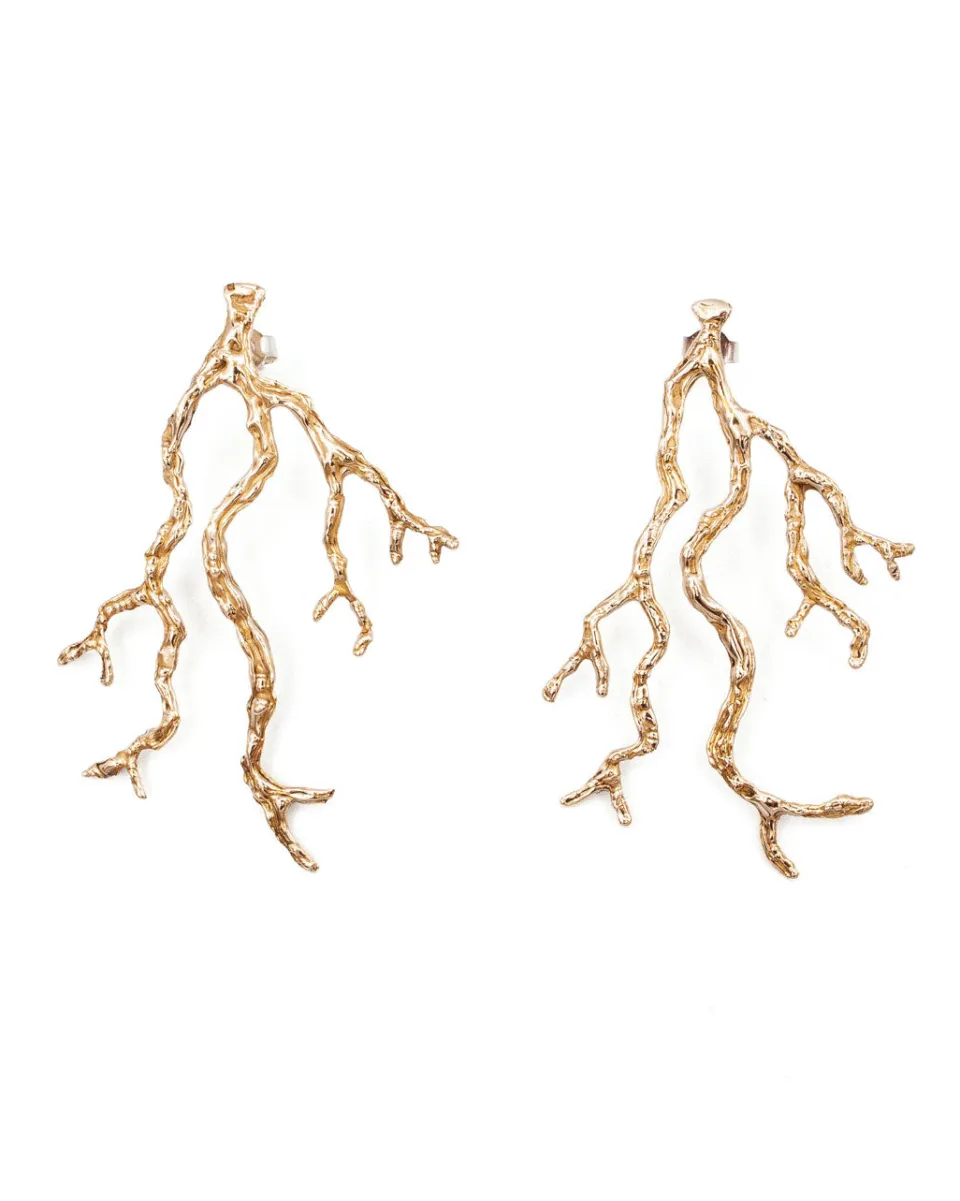 TA-DAAN Radices Earrings
