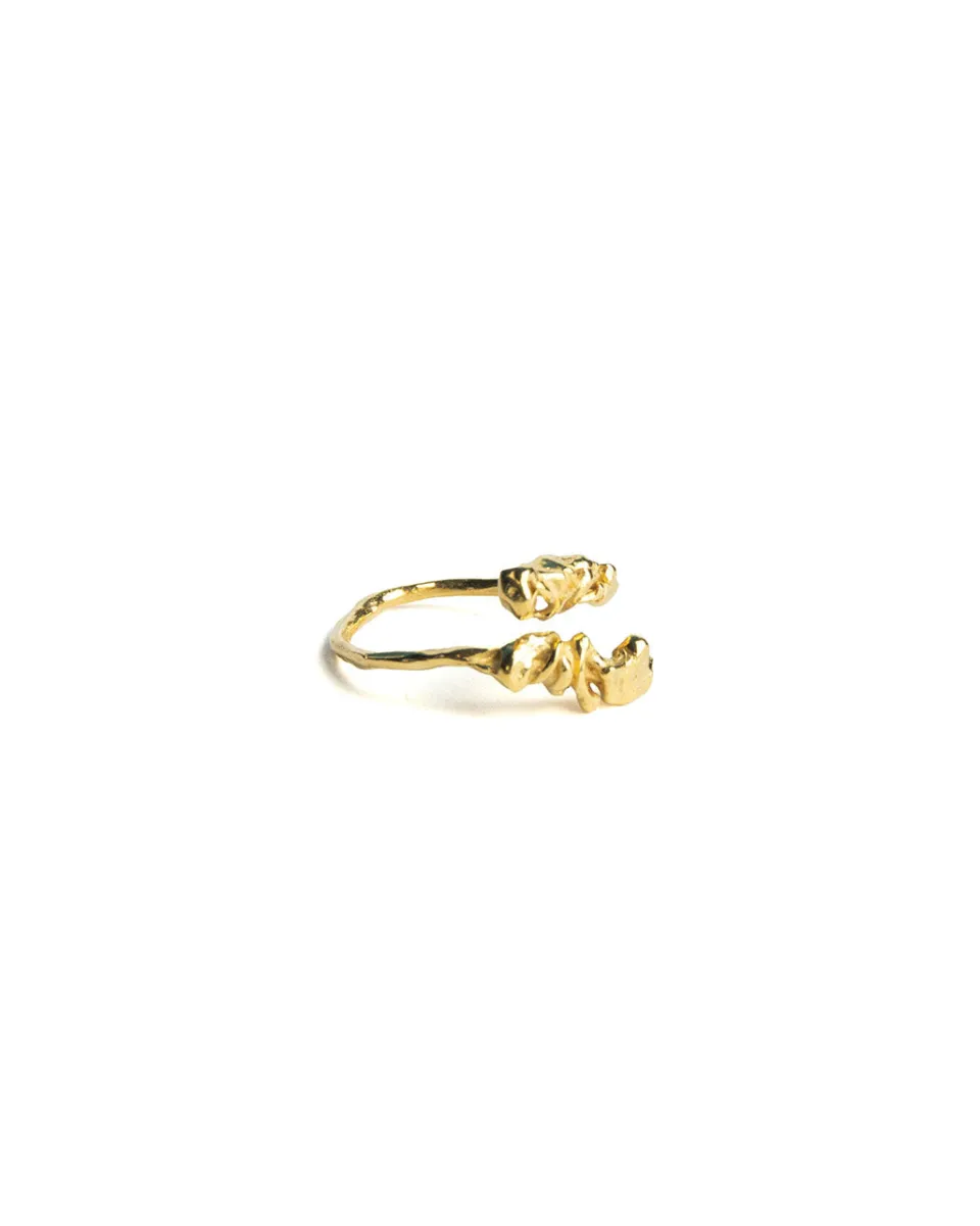 TA-DAAN Rosca Ring