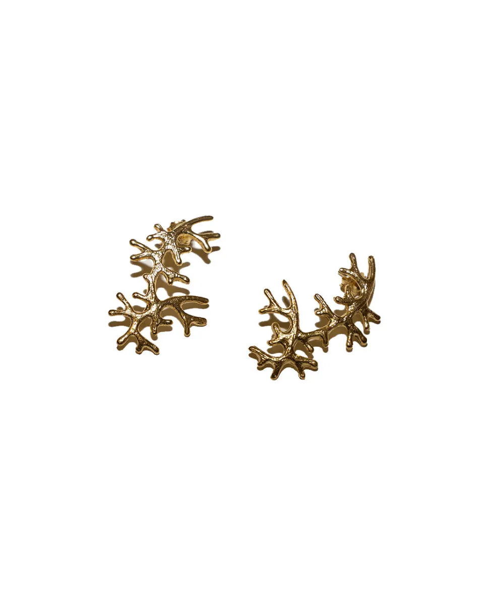 TA-DAAN Sea Coral earrings