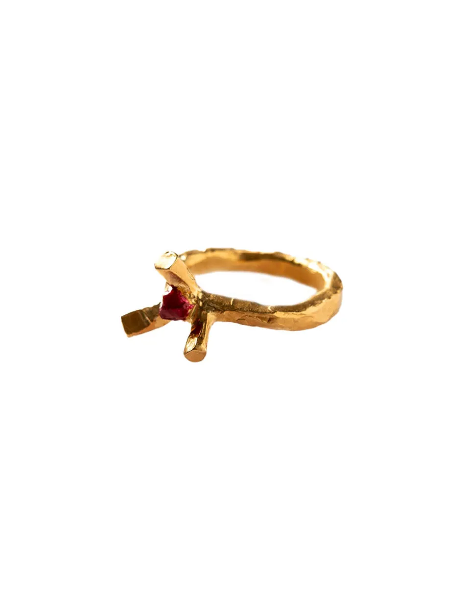 TA-DAAN SILVIA - not an engagement ring