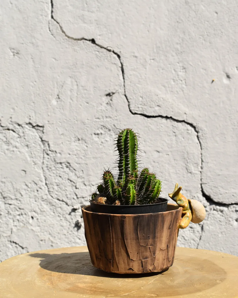 TA-DAAN Snail Planter