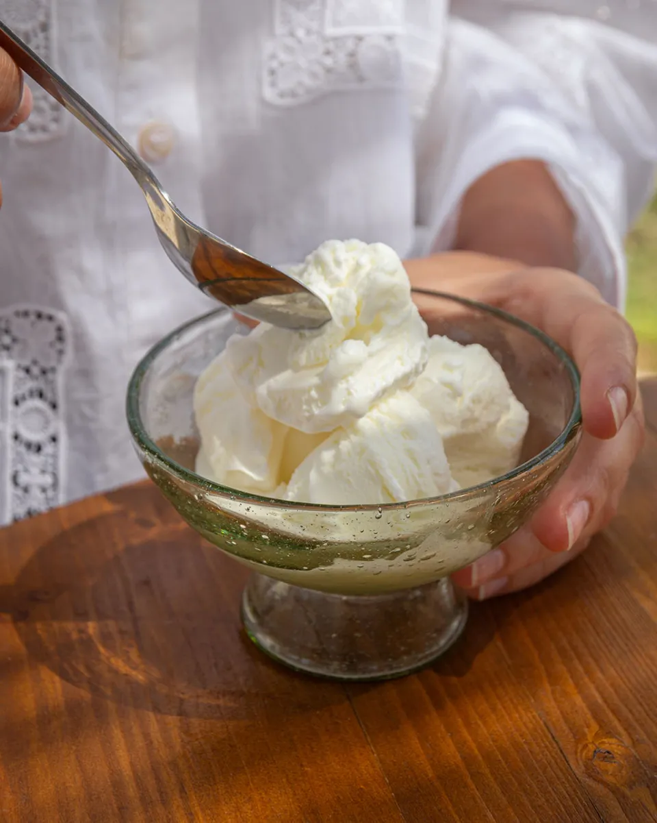 TA-DAAN Solid Ice-cream Bowl