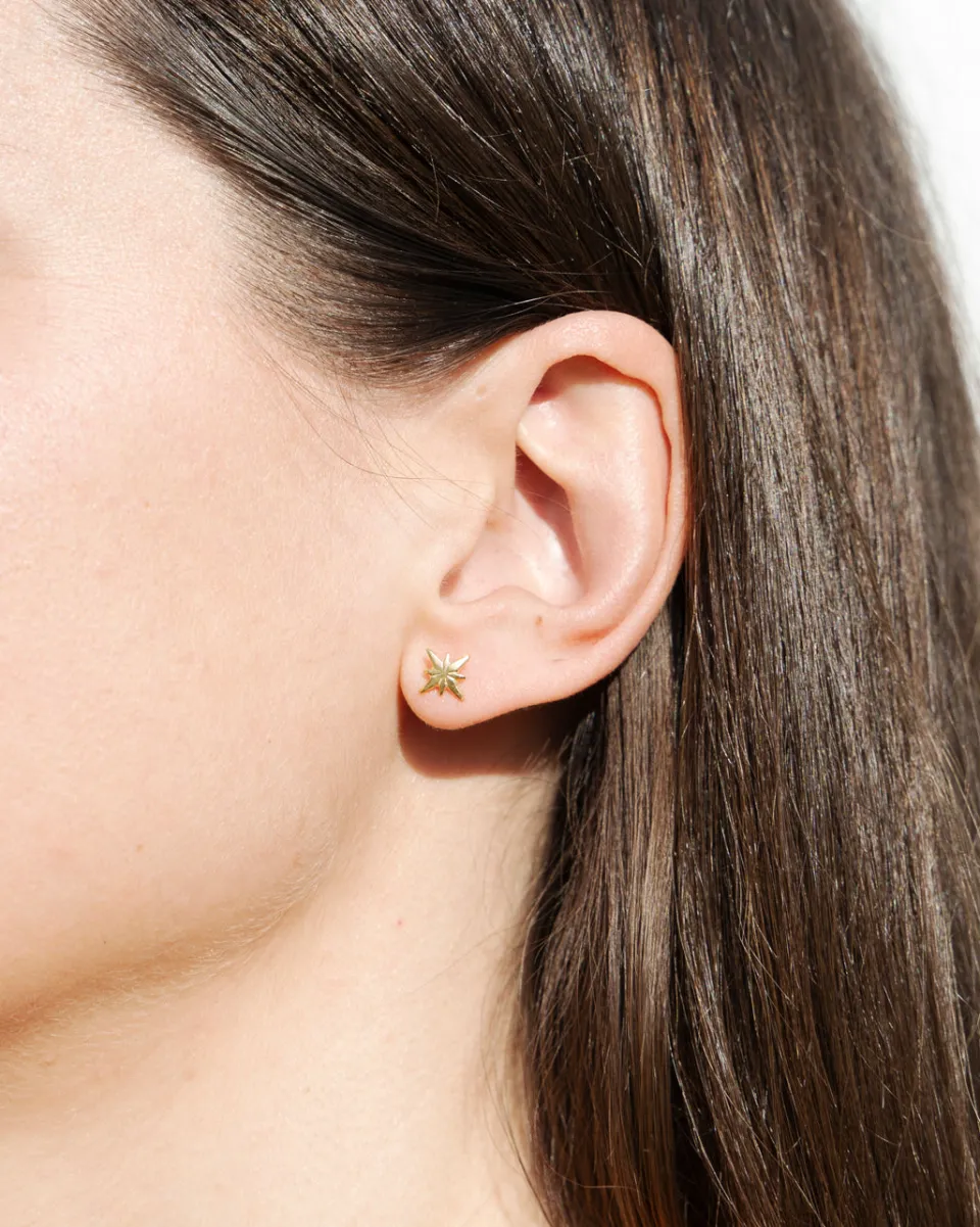 TA-DAAN Supernova Earrings