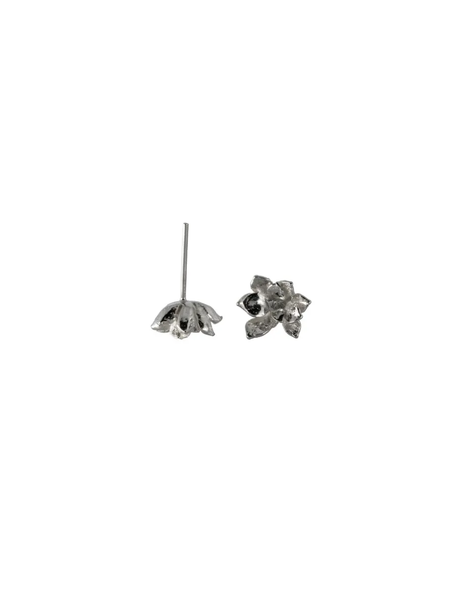 TA-DAAN Ynes Succulent earrings